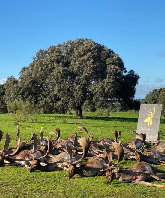 MONTARIA AOS GAMOS – HERDADE DE SANTO ISIDRO