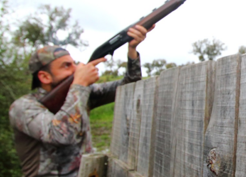 LARGADA DE PERDIZES, PATOS E FAISÕES