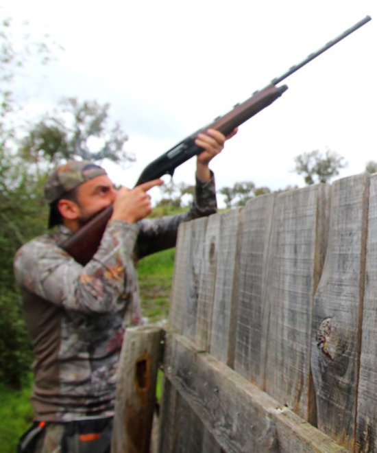 LARGADA DE PERDIZES, PATOS E FAISÕES